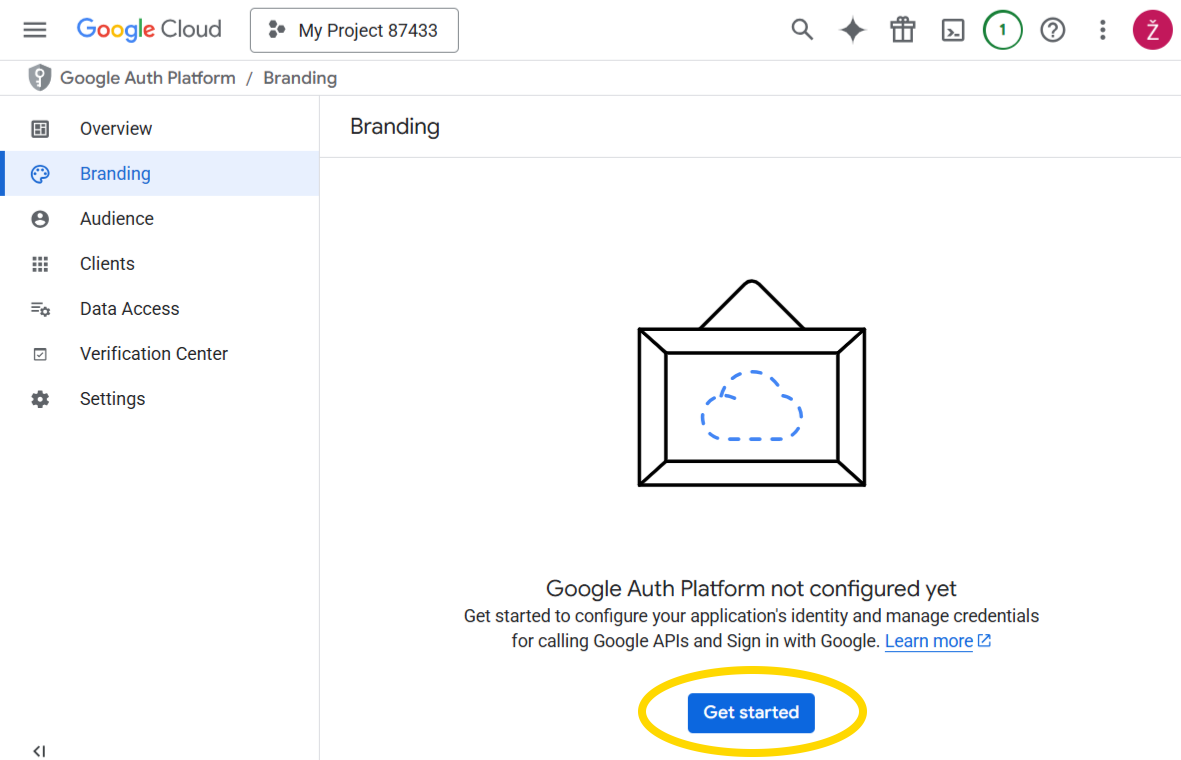 OAuth Consent Screen - Branding